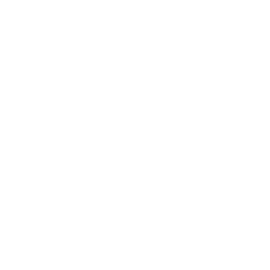 DAM