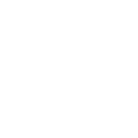 Ribsol