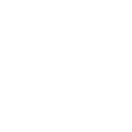 Tupai